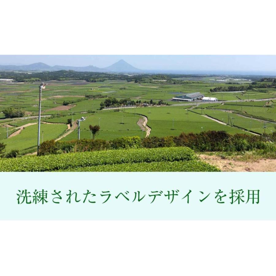 【LIFEDRINKオンラインストアで販売中】緑茶 彩茶-あやちゃ- お茶 500ml×24本 鹿児島県産茶葉使用 送料無料 ライフドリンクカンパニー LDC | ライフドリンクカンパニー | 05