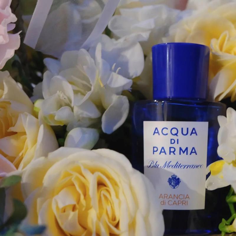 ACQUA DI PARMA アクアディパル マ ブルー メディテラネオ アラ ンチャ ディ カプリ EDT SP 75ml 香水【正規品 送料無料】｜ochi-shop｜08