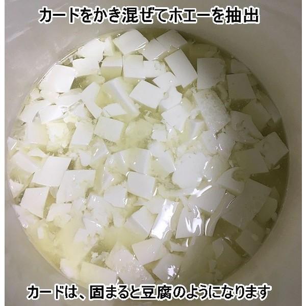 手作りチーズ用 レンネット RENET 粉末3g RENCO Natural Calf 
