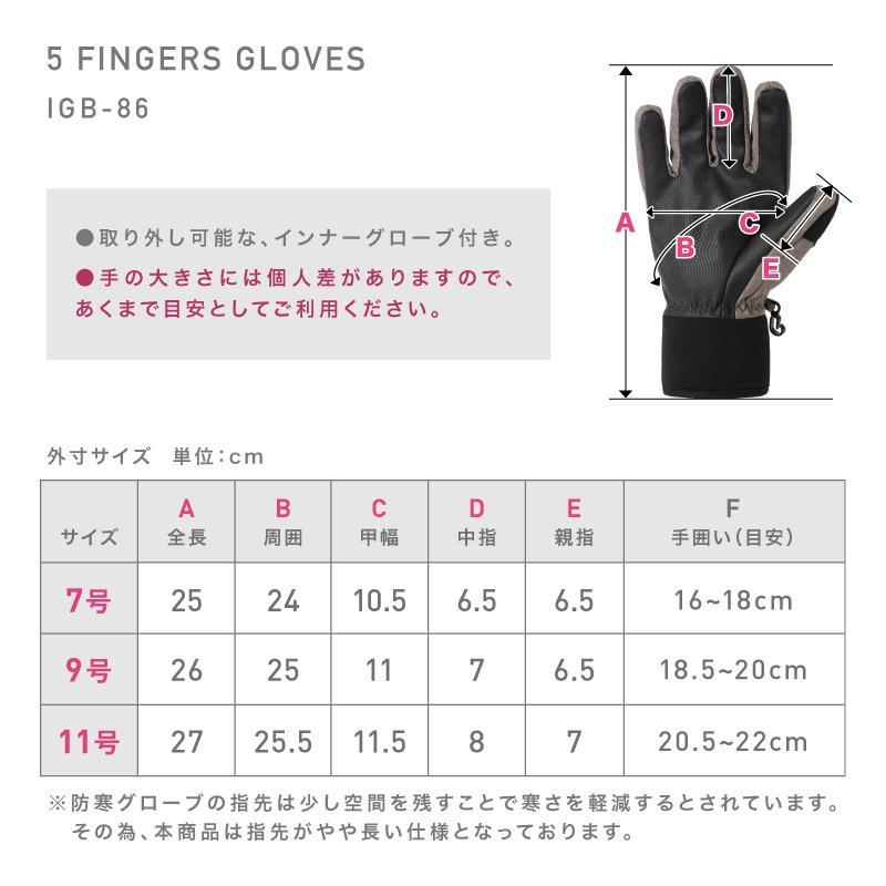 ICEPARDAL（アイスパーダル） スノーボード ゴーグル グローブ セット