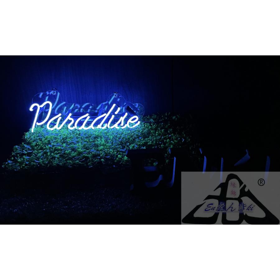 オリジナル ネオンサイン Paradise ブルー 英字ガラス管 インテリア 店舗装飾 バー LED風韓国 壁掛け led 看板 アメリカン雑貨 オーダーメイド可能