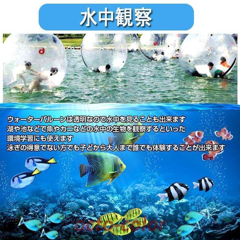 ウォーターバルーン水上散歩歩行直径2mマリンスポーツ海プールイベントに 楽天市場】＼☆全品5%OFFクーポン☆／*ランキング1位* 水上
