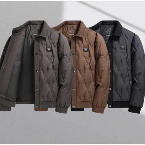 ダウンジャケット ブルゾン メンズ ダウン スタンドカラー あったか