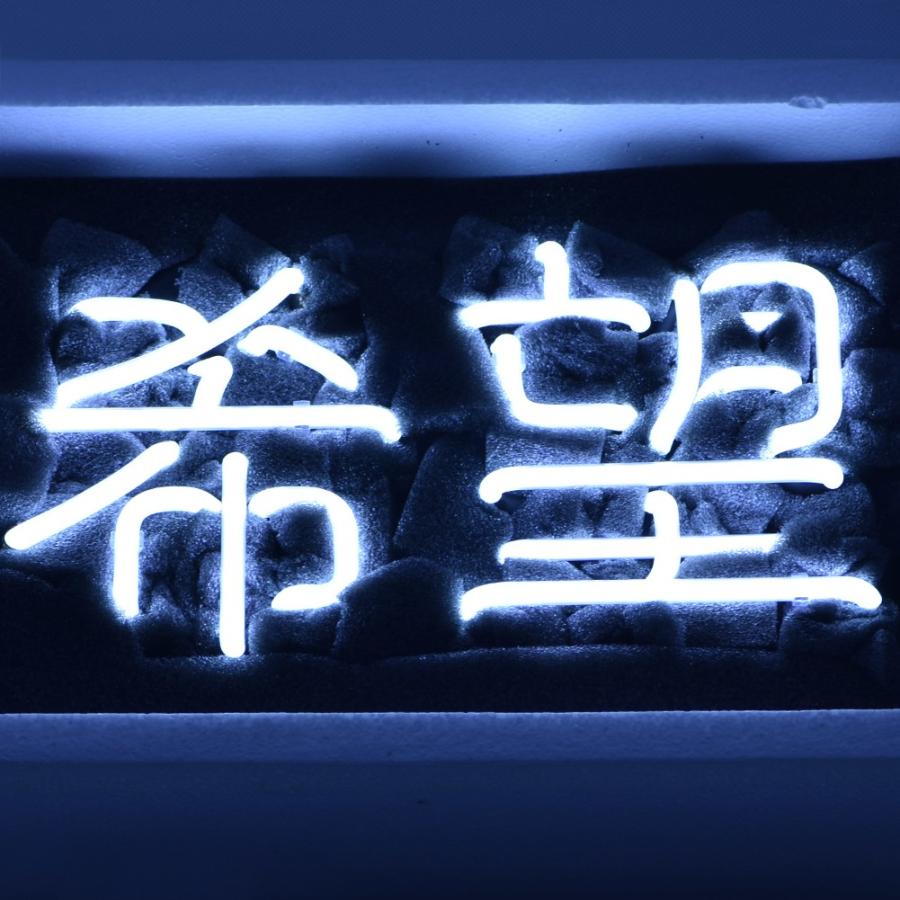 55882682_6