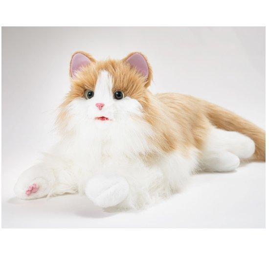 デジレクト しっぽふりふり あまえんぼうねこちゃん ミックスブラウン 本物みたいなしっぽの動きと鳴き声 プレゼントにも コンタクトレンズoculusyahoo 店 通販 Yahoo ショッピング