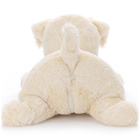 もっとおりこう ユメル TOMY Amazon.co.jp: もっとおりこうユメル : おもちゃ