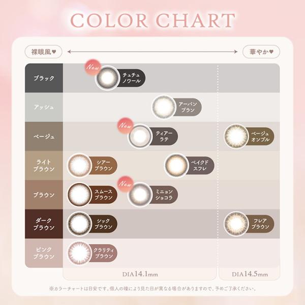 2ウィーク カラコン エルージュ 6枚入り 2箱 2week eRouge カラーコンタクトレンズ 度なし 度あり 2週間交換 ツーウィーク 終日装用 ポスト投函 |  | 12