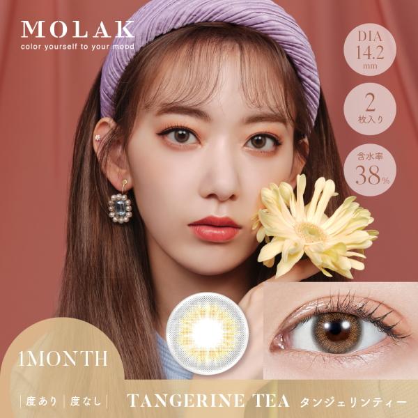 モラク MOLAK マンスリー 2枚入り 3箱 コンタクトレンズ 1ヶ月 1month monthly 宮脇咲良 カラコン 度あり 度なし ポスト投函 | MOLAK | 19