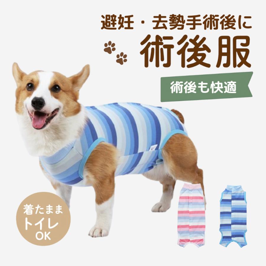 犬 術後服 オス メス エリザベスカラー 小型犬 中型犬 猫 オスメス兼用 背中開きタイプ エリザベスウェア の商品画像