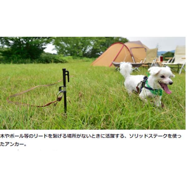 Snow Peak スノーピーク ドッグアンカー50 Pt 032 ペット用品 生き物 犬用品 ペット用キャンプ用品 ペット用キャンプ用品 アウトドアギア 山渓オンラインショップyahoo 店 通販 Yahoo ショッピング
