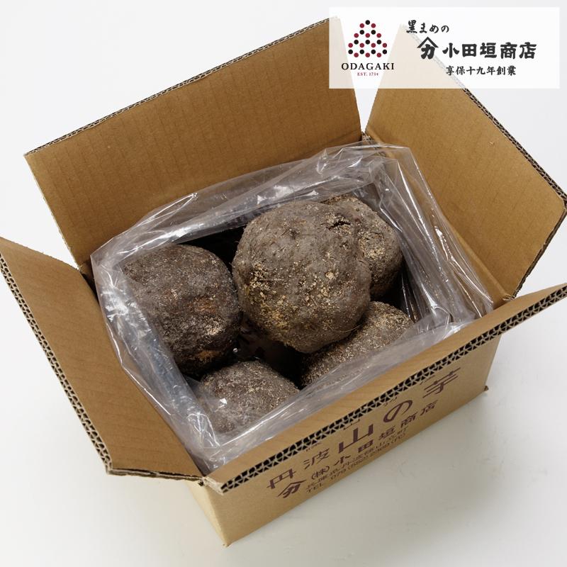 丹波 山の芋(箱入り) 2kg 国産 小田垣商店 公式通販
