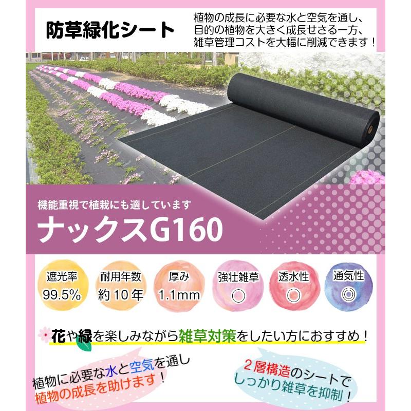 防草緑化シート「ナックスG160(2ｍ×25ｍ)」　厚さ1.1ｍｍ/耐用年数約10年（送料無料）/白崎コーポレーション｜odaiba-gardenclub｜02