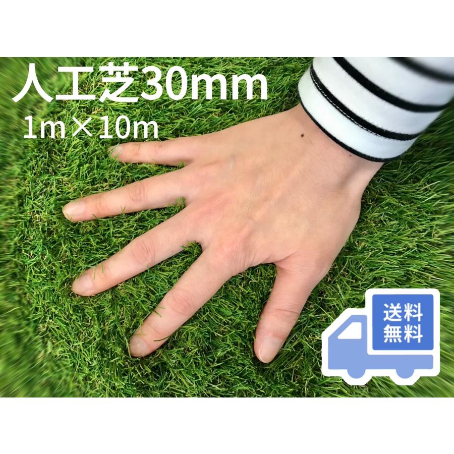 人工芝30mm（1m×10m）耐用年数8年（送料無料）白崎コーポレーション