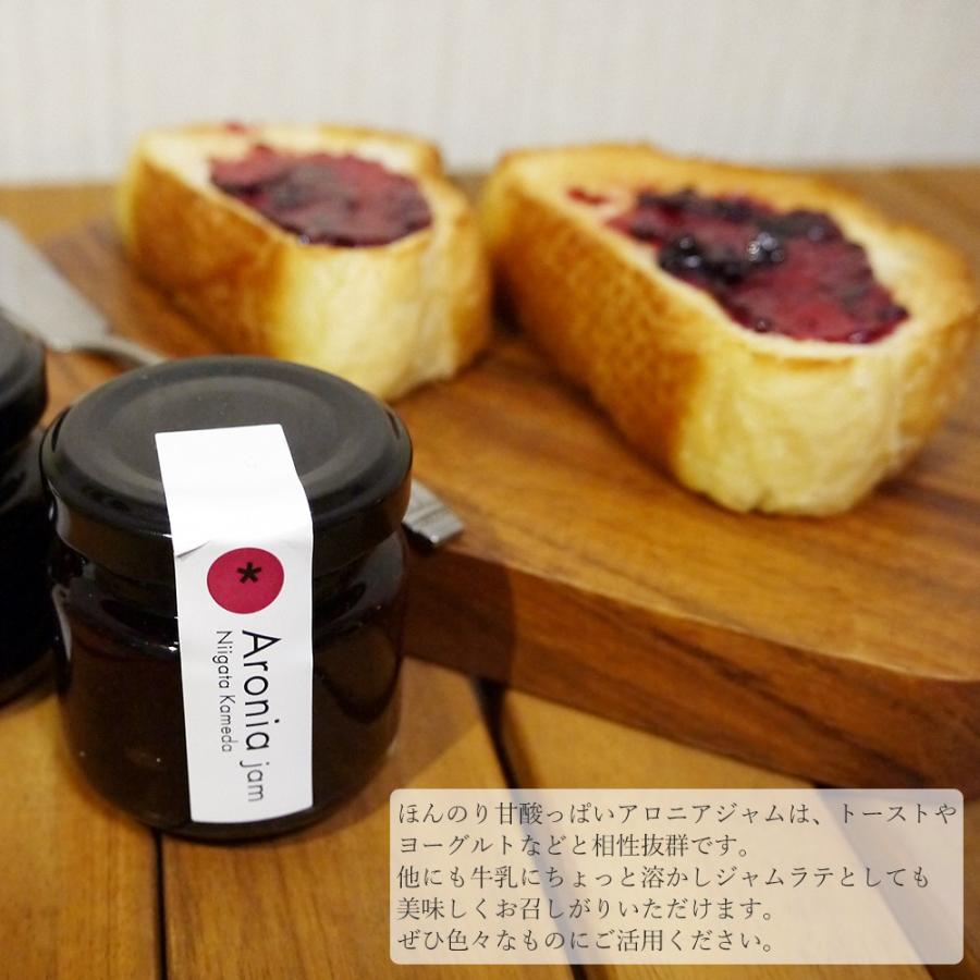 購買 ギフト アロニア飲むお酢とアロニアジャムセット プレゼント 本州送料無料 Materialworldblog Com