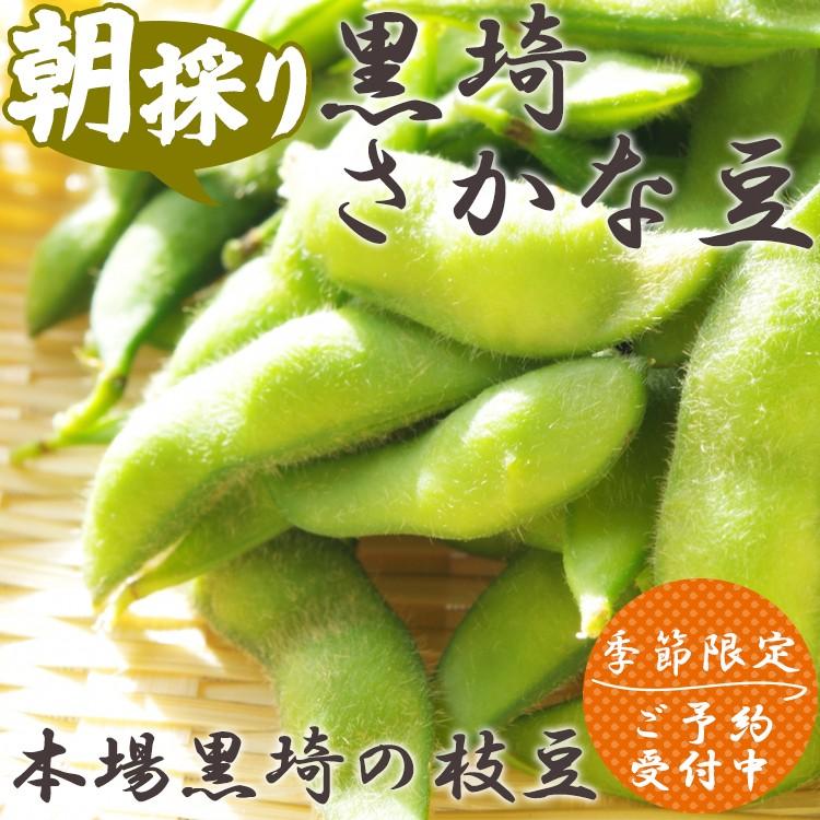 枝豆 黒埼(黒崎) さかな豆 1.5kg 肴豆 ギフト お取り寄せ