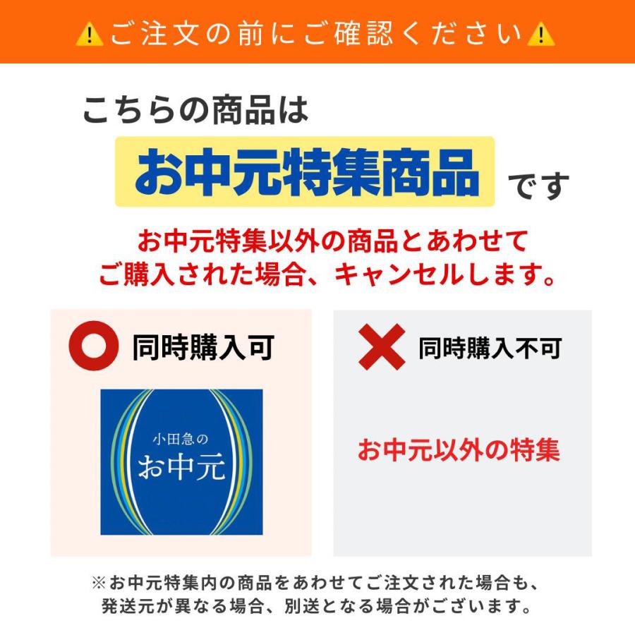 公式 小田急百貨店 ギフト お中元 2026 グラマシーニューヨーク ハイ