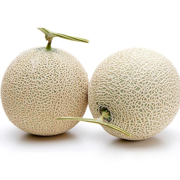 高知インター店 フルーツ メロン 静岡県産マスクメロン 雪 百貨店 果物 メロンとびわ特集 驚きの安さ Scranes Net