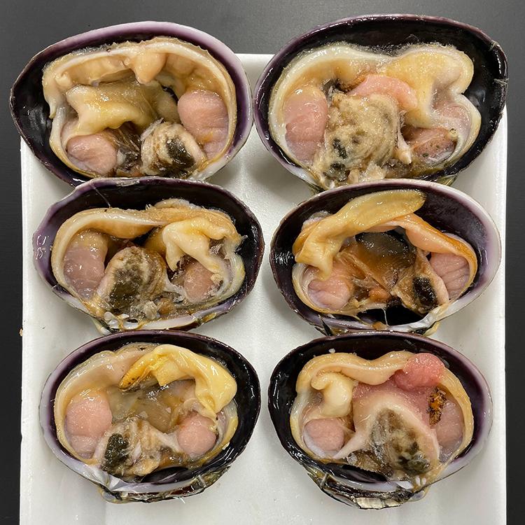 お取り寄せ グルメ 産地直送 送料無料 愛知三河湾産 天然大あさり
