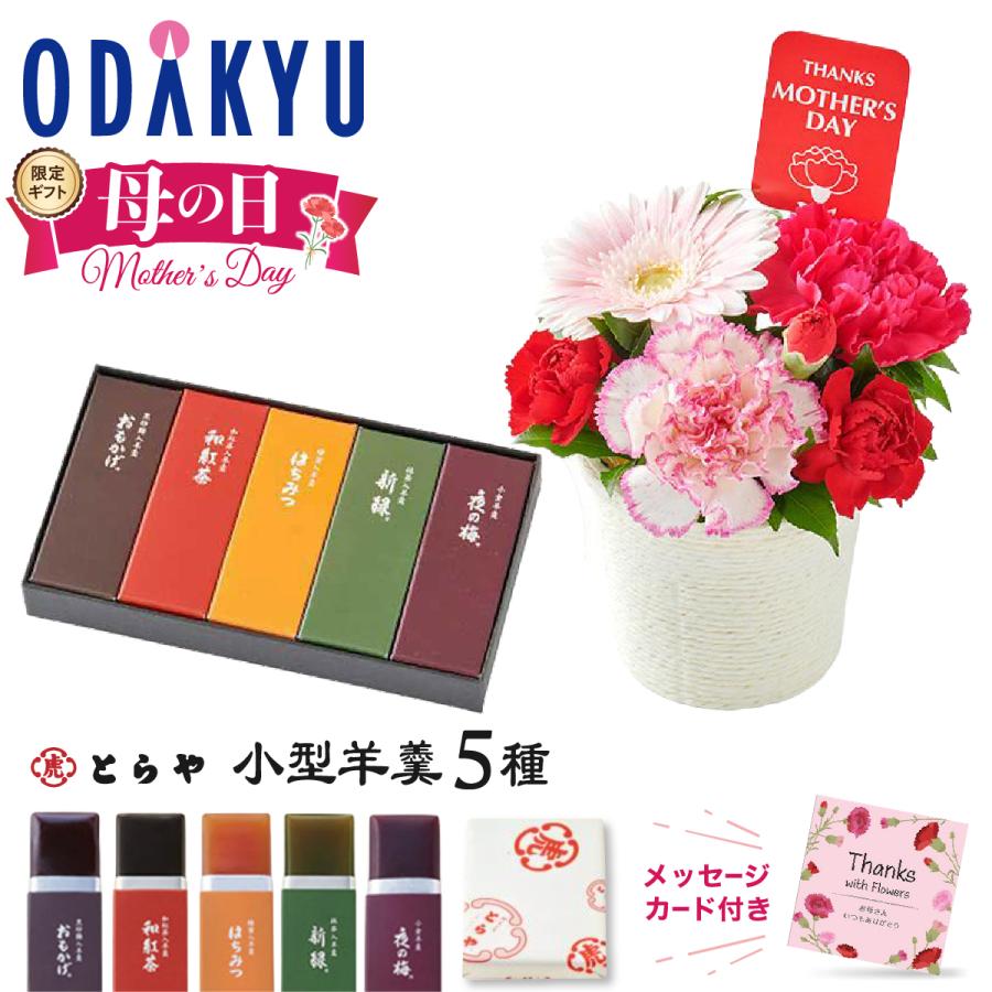 遅れてごめんね 母の日 花 2026 生花A とらや 小形羊羹 5本入 ギフト プレゼント 予約 スイーツ 和菓子 小田急百貨店 準備でき次第順次お届 MD（Yahoo!・小田急百貨店 Yahoo!店）