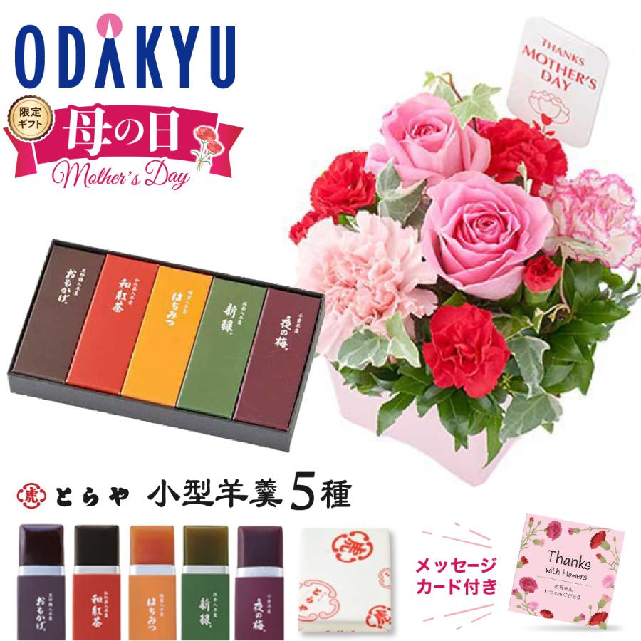 遅れてごめんね 母の日 花 2026 生花B とらや 小形羊羹 5本入 ギフト プレゼント 予約 スイーツ 和菓子 小田急百貨店 準備でき次第順次お届 MD（Yahoo!・小田急百貨店 Yahoo!店）