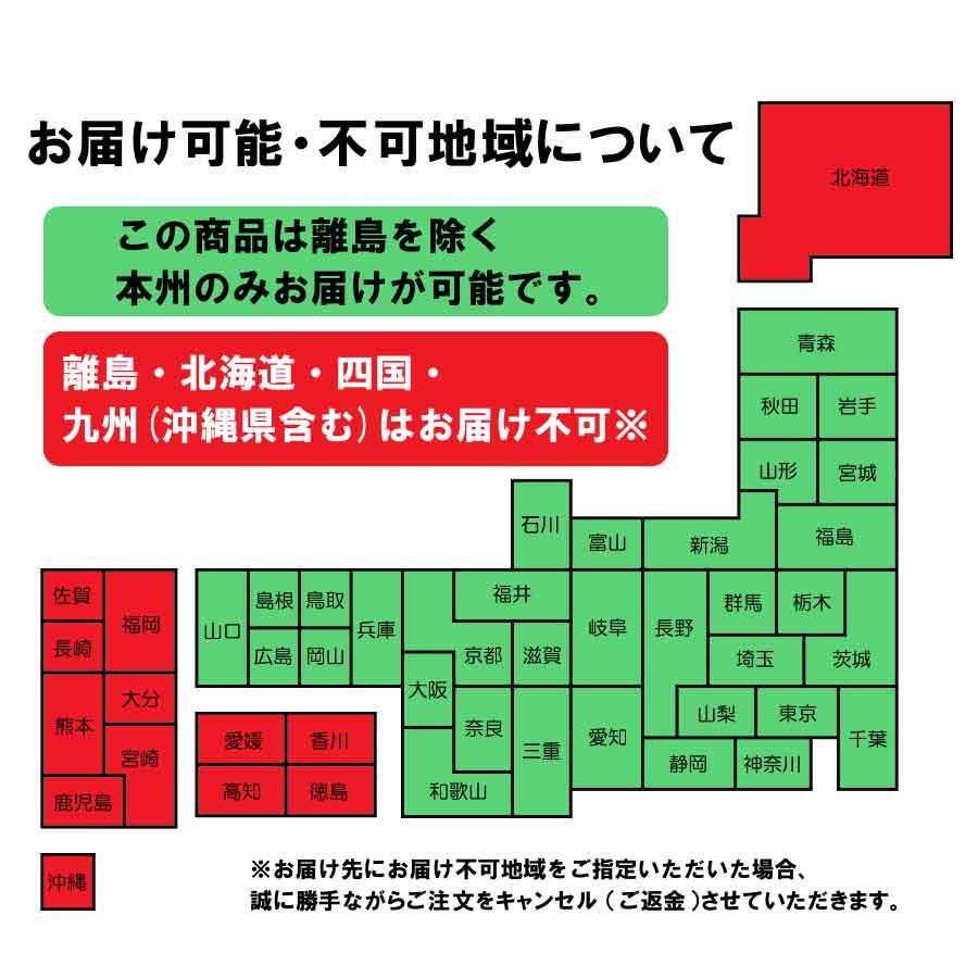 魔王 2本入り 一升瓶 焼酎 白玉醸造 6本セット 約3から10日でのお届け