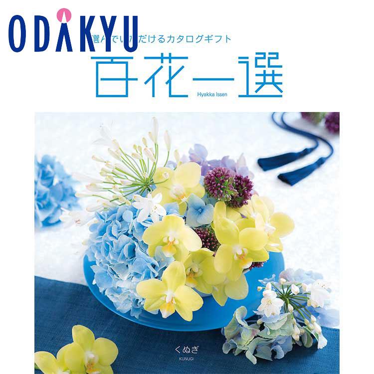 カタログギフト 百貨店 インテリア 雑貨 リンベル 百花一選 くぬぎ