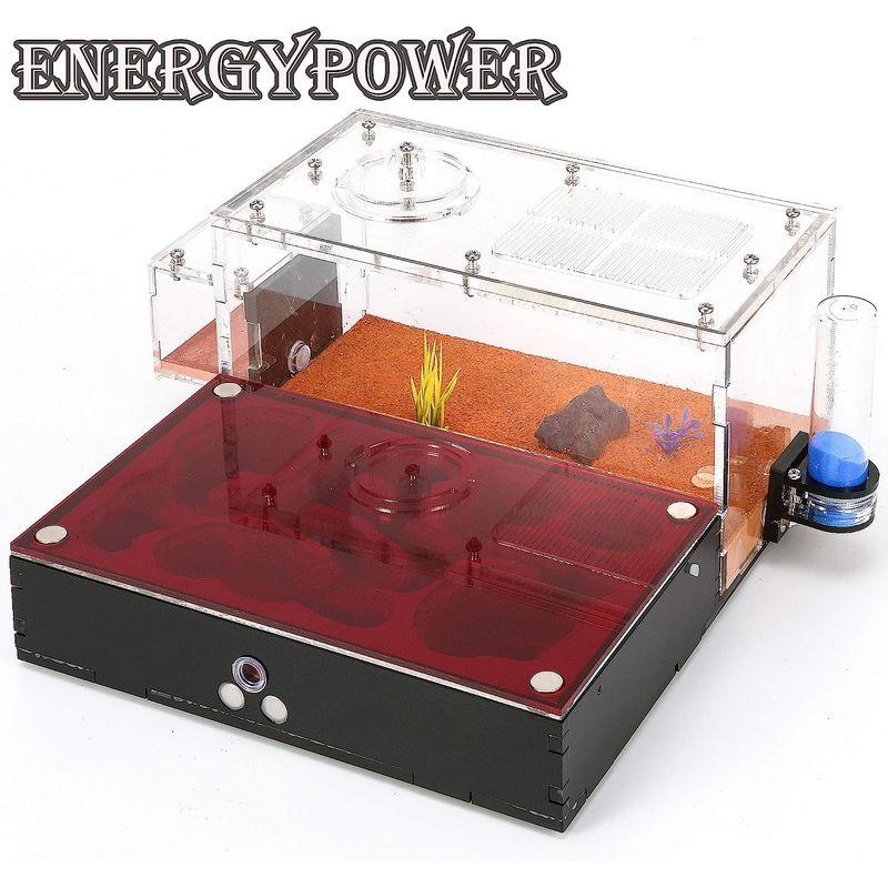 ハイグレードEnergyPower モルタル製アリ巣箱 平面タイプ 蟻活動スペース/給水器/エサ場付き 土やゲルを使用しないので腐らず清潔 モルタル製アリ巣箱 平面タイプ 蟻活動スペース/給水器/エサ場付き 土やゲルを使用しないので腐らず清潔