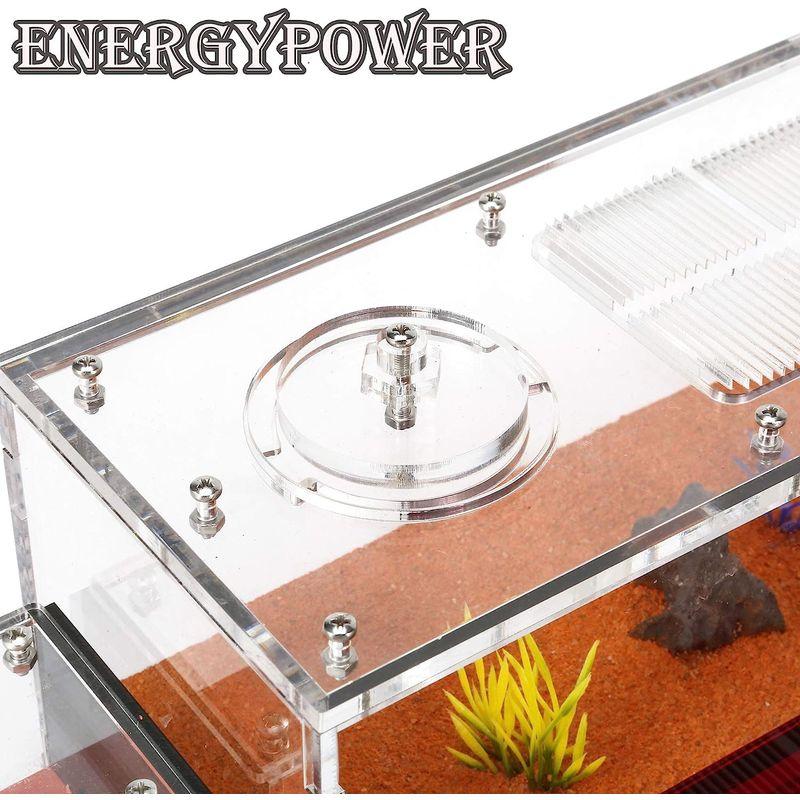 ハイグレードEnergyPower モルタル製アリ巣箱 平面タイプ 蟻活動スペース/給水器/エサ場付き 土やゲルを使用しないので腐らず清潔 モルタル製アリ巣箱 平面タイプ 蟻活動スペース/給水器/エサ場付き 土やゲルを使用しないので腐らず清潔