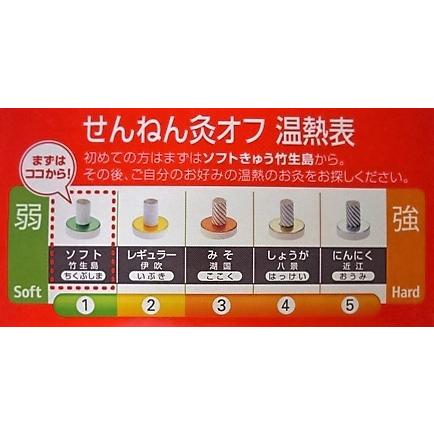 送料無料 せんねん灸オフ伊吹 380点入り ○翌日配達「あすつく」対象