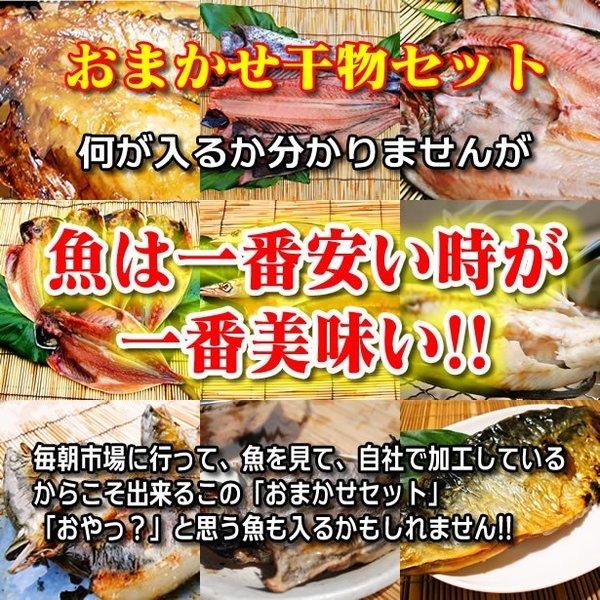 父の日 プレゼント ギフト お中元 干物 お取り寄せ グルメ 自宅用 贈答品 干物 送料無料   おまかせ干物セット4000円コース  魚 食品 詰め合わせ 小田原 御中元｜odawara-yamaichi｜02