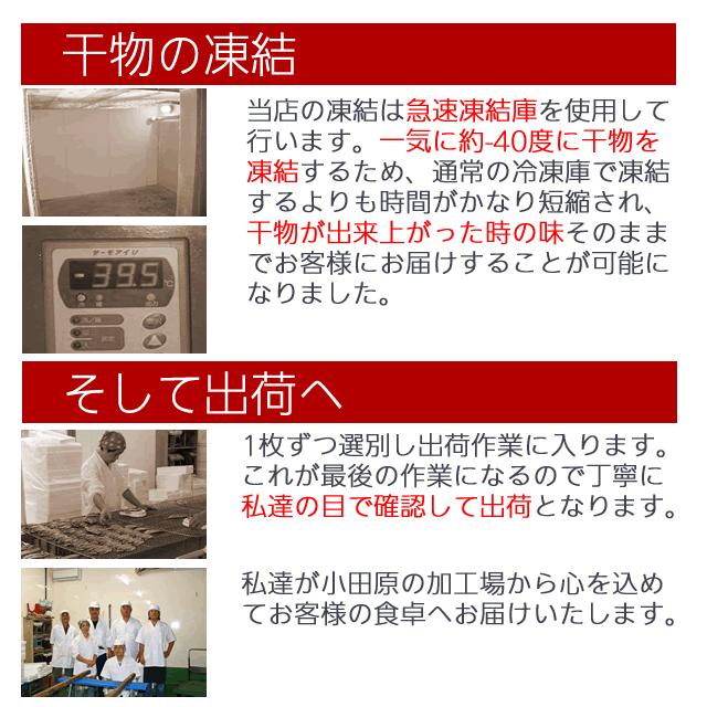 父の日 プレゼント ギフト お中元 干物 お取り寄せ グルメ  国産 真アジ干物 大 1枚 あじ 誕生日 魚 食品 開き 小田原 即納 通販 絶品 お返し 御中元｜odawara-yamaichi｜14