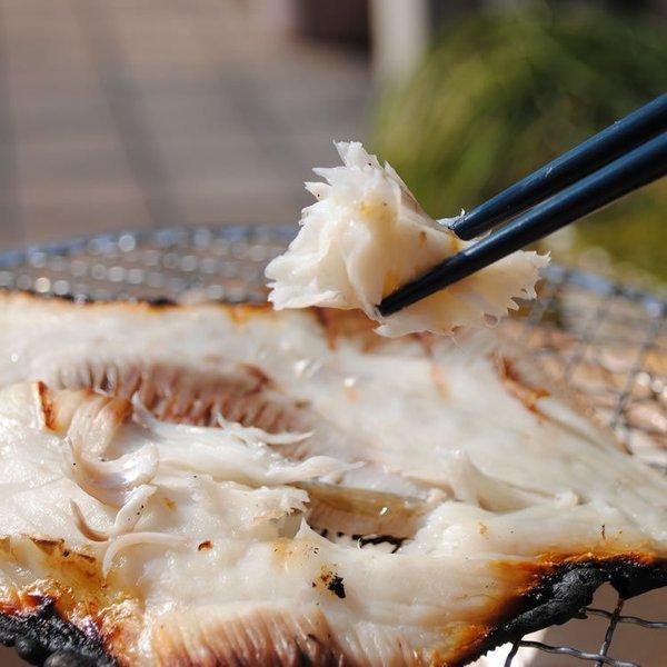 超安い 父の日 お中元 ギフト ウマヅラハギ干物 1枚 お取り寄せ グルメ 母の日 カワハギ 魚 食品 プレゼント 小田原 海鮮 おつまみ Cisama Sc Gov Br