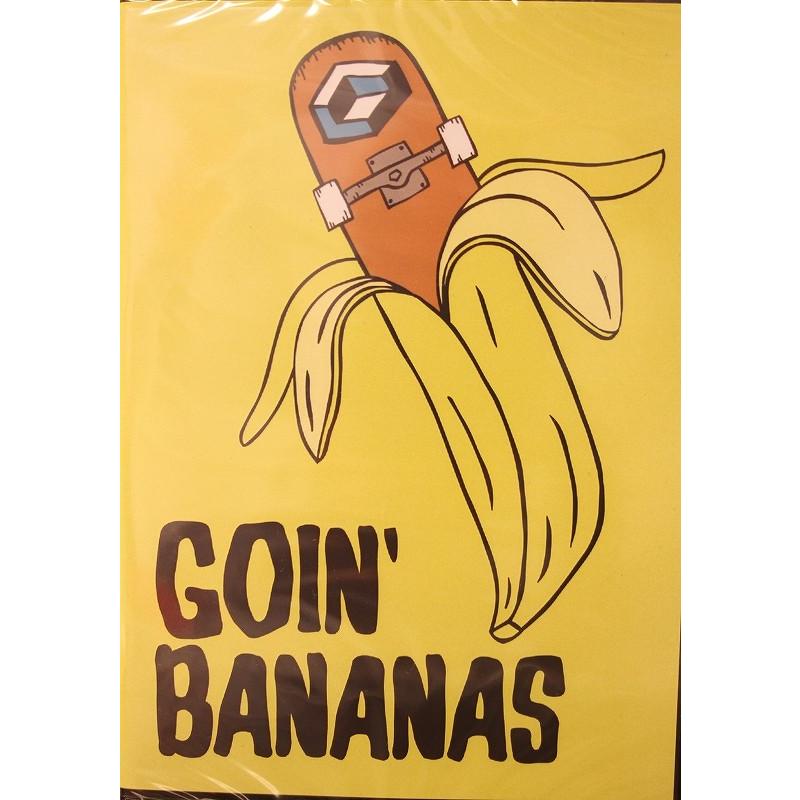 Consolidated Skateboards DVD ステッカー コンソリ CONSOLIDATED (コンソリ) DVD GOIN BANANAS : ODDBALL SKATE&SNOW