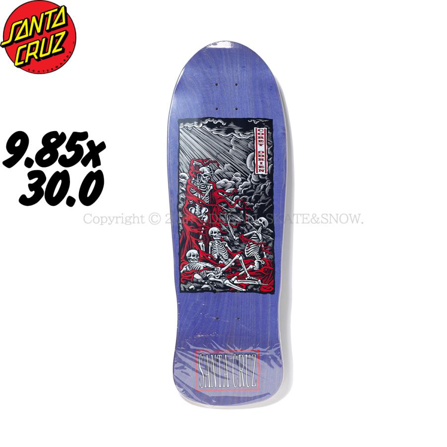 SANTA CRUZ（サンタクルーズ） SANTACRUZ O'BRIEN PURGATORY 9.85