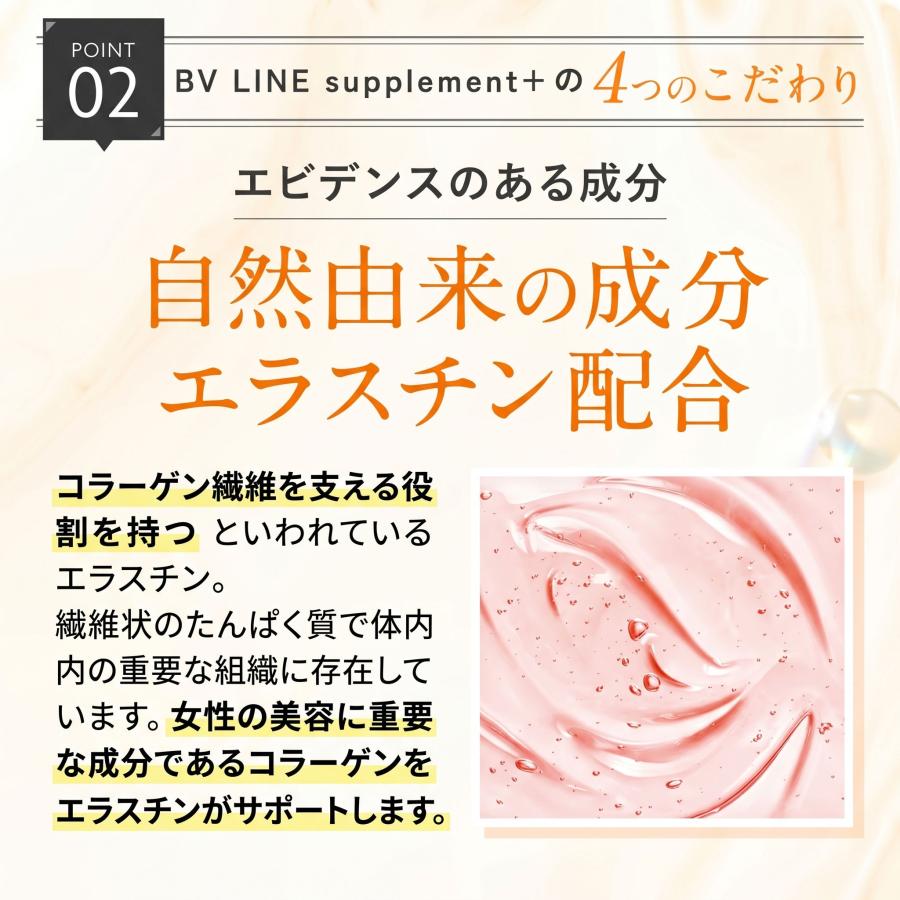 トライアルセット・サンプル cellnote BV LINE supplement + 60 tablets cellnote BV LINE supplement+ お試しサイズ 30粒