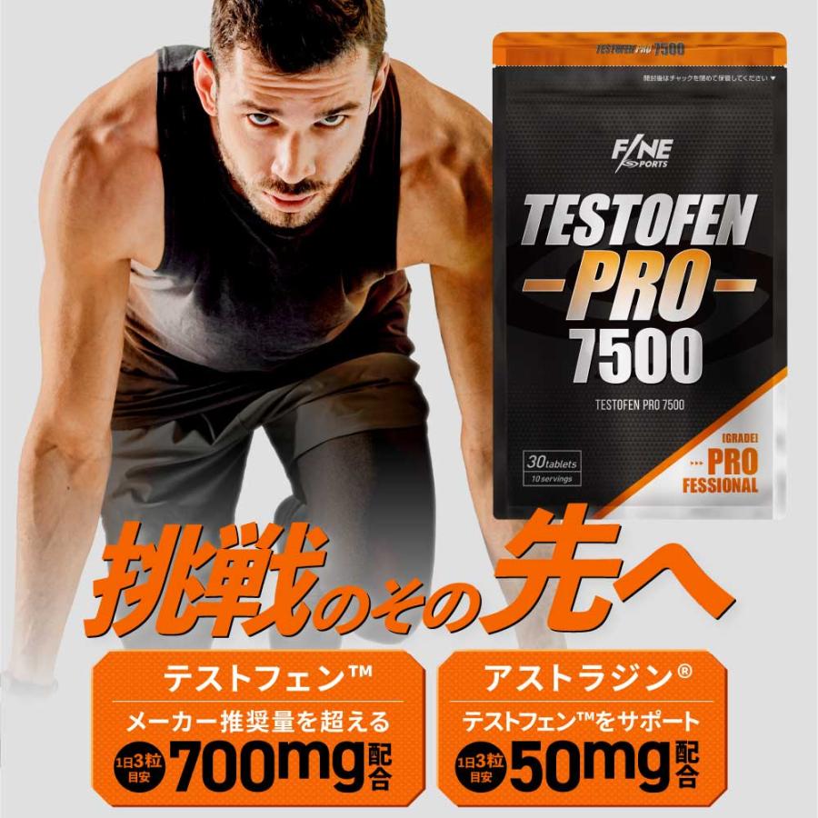 メンズサプリ 2点セット FINESPORTS ダンディバイタル54000 & テスト