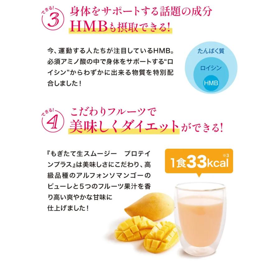 酵水素328選 もぎたて生スムージー プロテイン プラス 300g (マンゴー