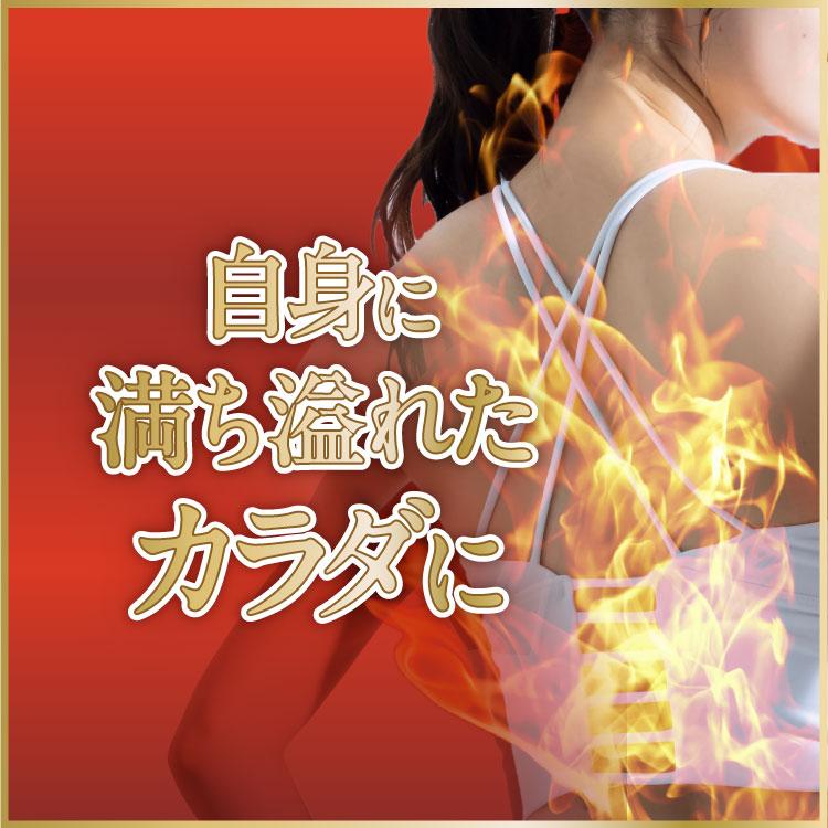fine base（ファインベース） ボディケアサプリメント メタヘルナイン