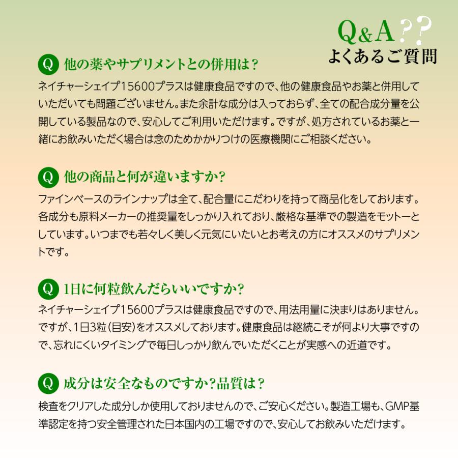 fine base（ファインベース） SALE 5%OFF 送料無料 ◇ ネイチャー