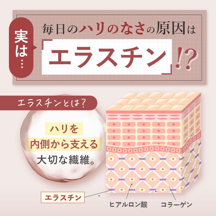 BV LINE supplement + ボリュームラインサプリメントプラス 楽天市場】【公式】 cellnote. BV LINE supplement+ (BVライン