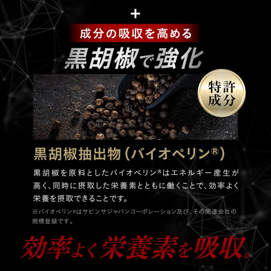 LAGNET（ラグネット） 活力サプリ LAGNET NIGHT ENERGY SUPPLEMENT 90 