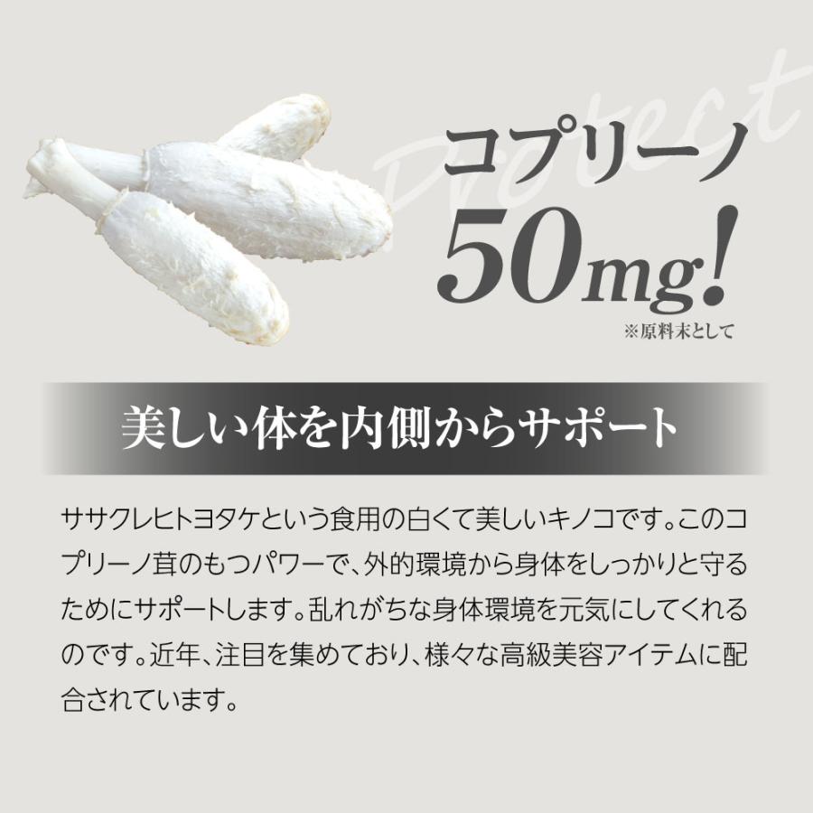 サプリ ニュートロックスサン高配合 日傘 finebase インナーパラソル