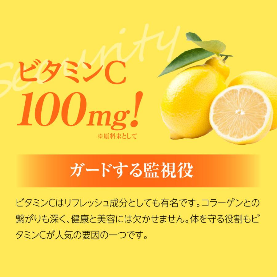 サプリ ニュートロックスサン高配合 日傘 finebase インナーパラソル