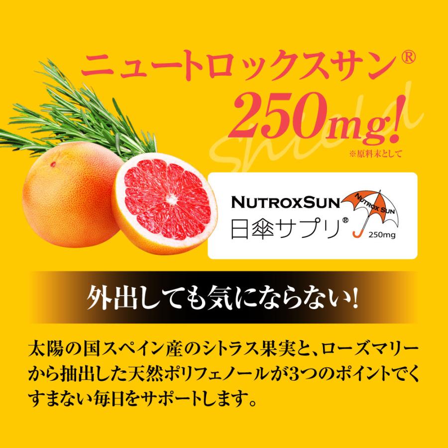 サプリ ニュートロックスサン高配合 日傘 finebase インナーパラソル
