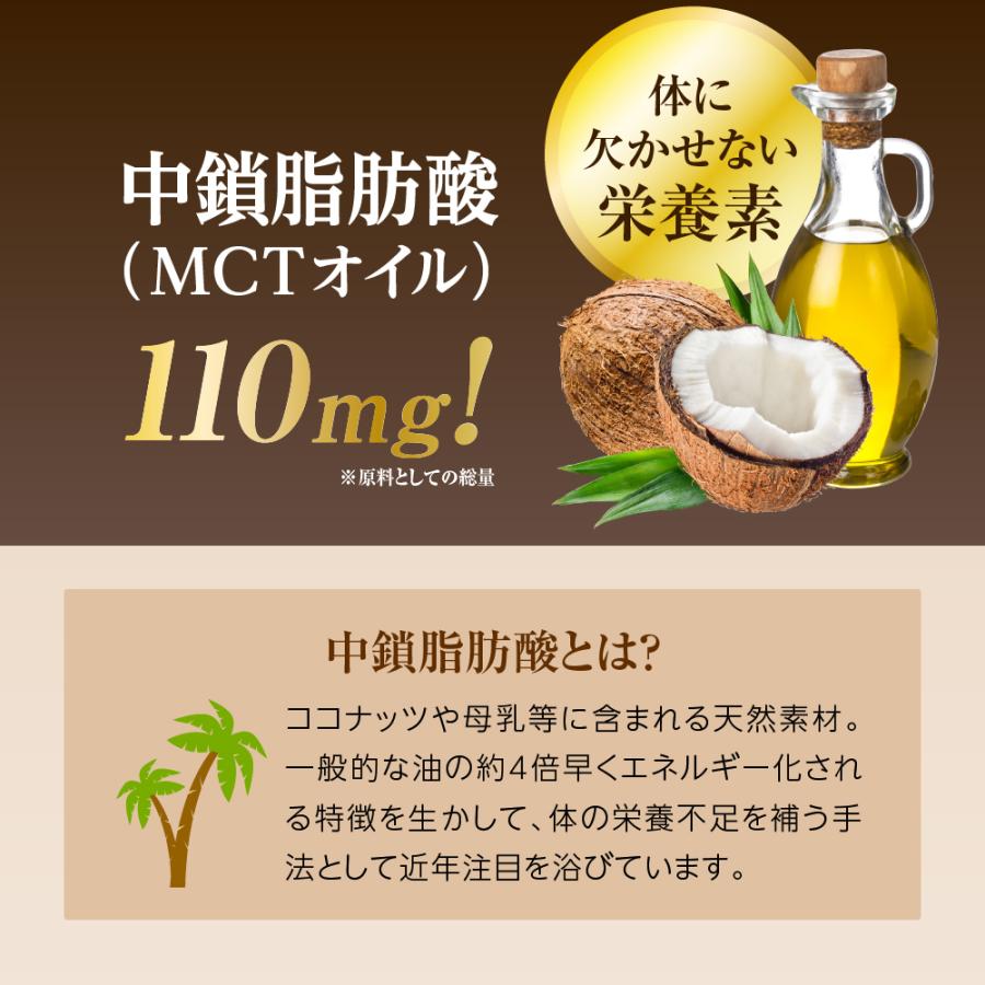 SALE 10%OFF 送料無料 ◇ プラズマローゲン サプリ 機能性表示食品