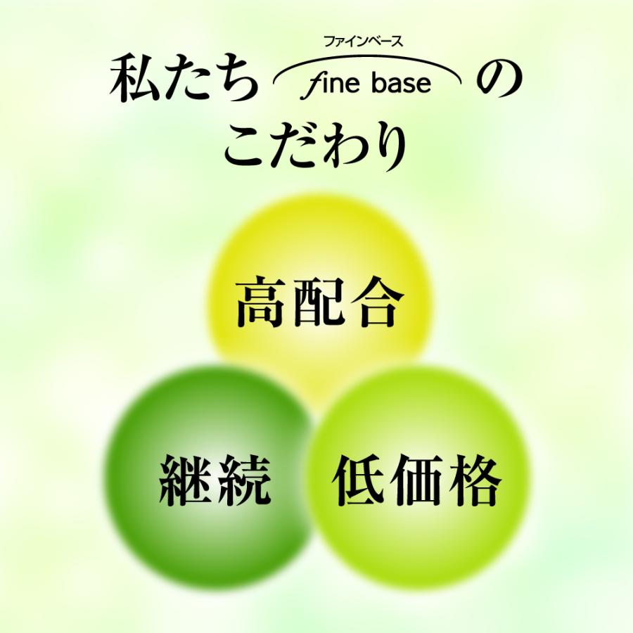 finebase リボディ34000 お得な3個セット 10%OFF 送料無料の画像