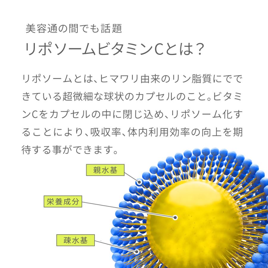 Nになります。リポソームピール×2 リピ割 複数割 限定】ビールオールスター飲み比べ6種12缶セット ザ・ドラフト
