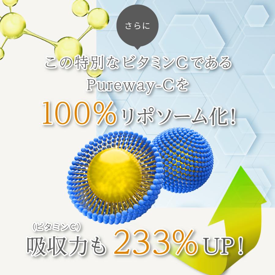 リポソームビタミンC Optimal Ci リポピュアC＋P.E 1箱30包入約30日分