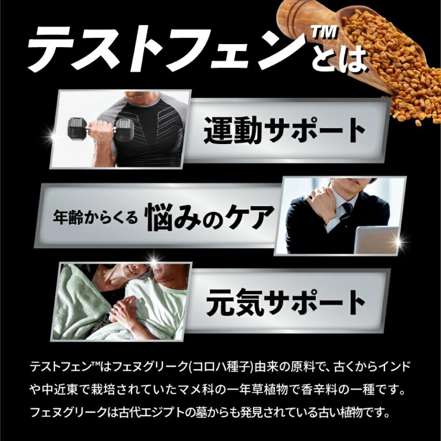 FINE SPORTS 国産 ボディケアサポート系サプリ テストフェン+マカ 90粒