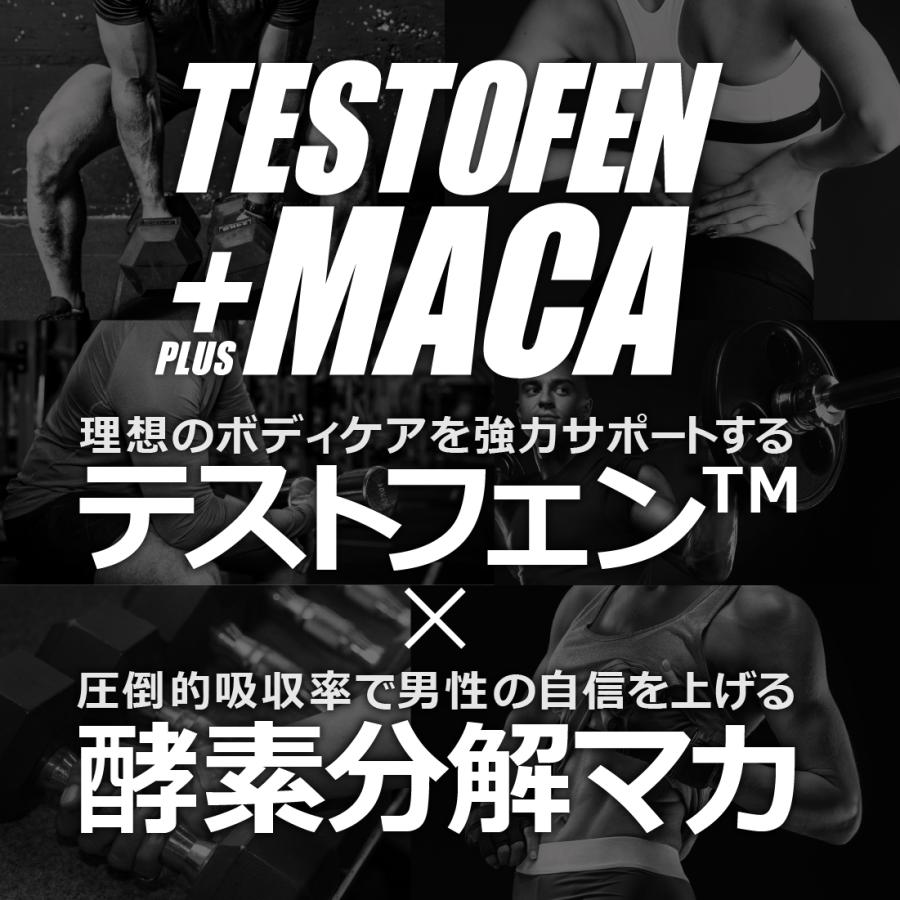 SALE 10%OFF 送料無料 ◇ FINE SPORTS 国産 ボディケアサポート系サプリ テストフェン+マカ 90粒30日分 テストフェン フェヌグリーク種子 酵素分解マカ｜odecomart｜04